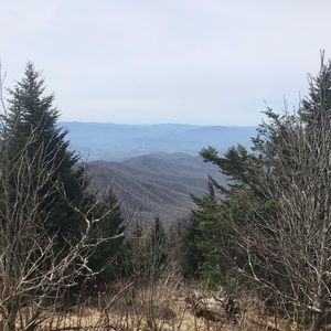 Meet your Posher, Shannan